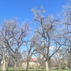 Meet your Posher, Emy